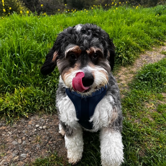 SURPRISE HAPPY MAIL - Picture 5 of 16